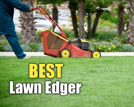 Best Lawn Edger
