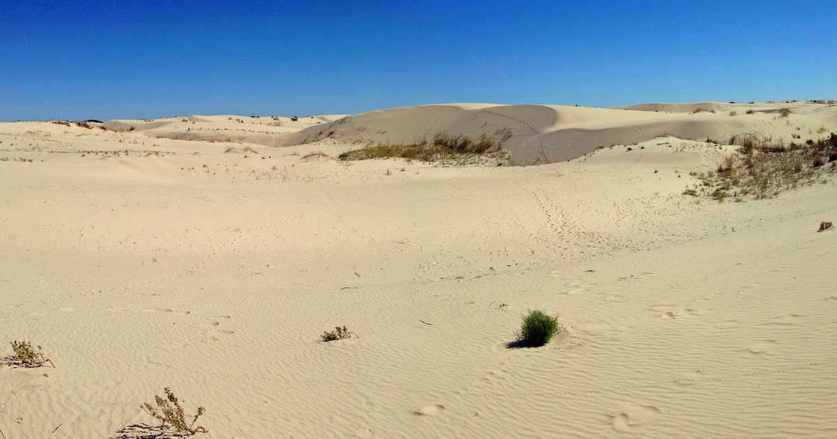 Monahans Sandhills State Park