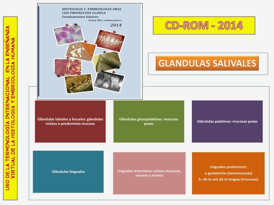 CD-ROM -2014- GLANDULAS SALIVALES