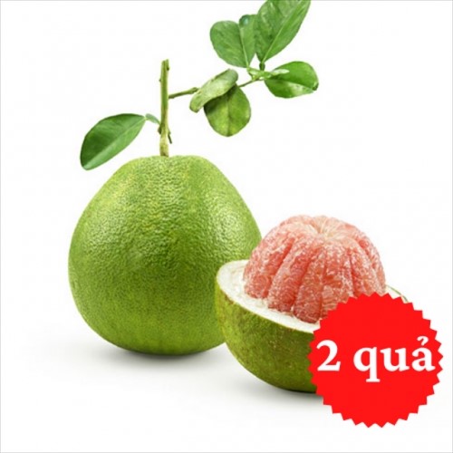 Bưởi Da Xanh Bến Tre Size Lớn (Hộp 2 Quả 3-3.5kg)