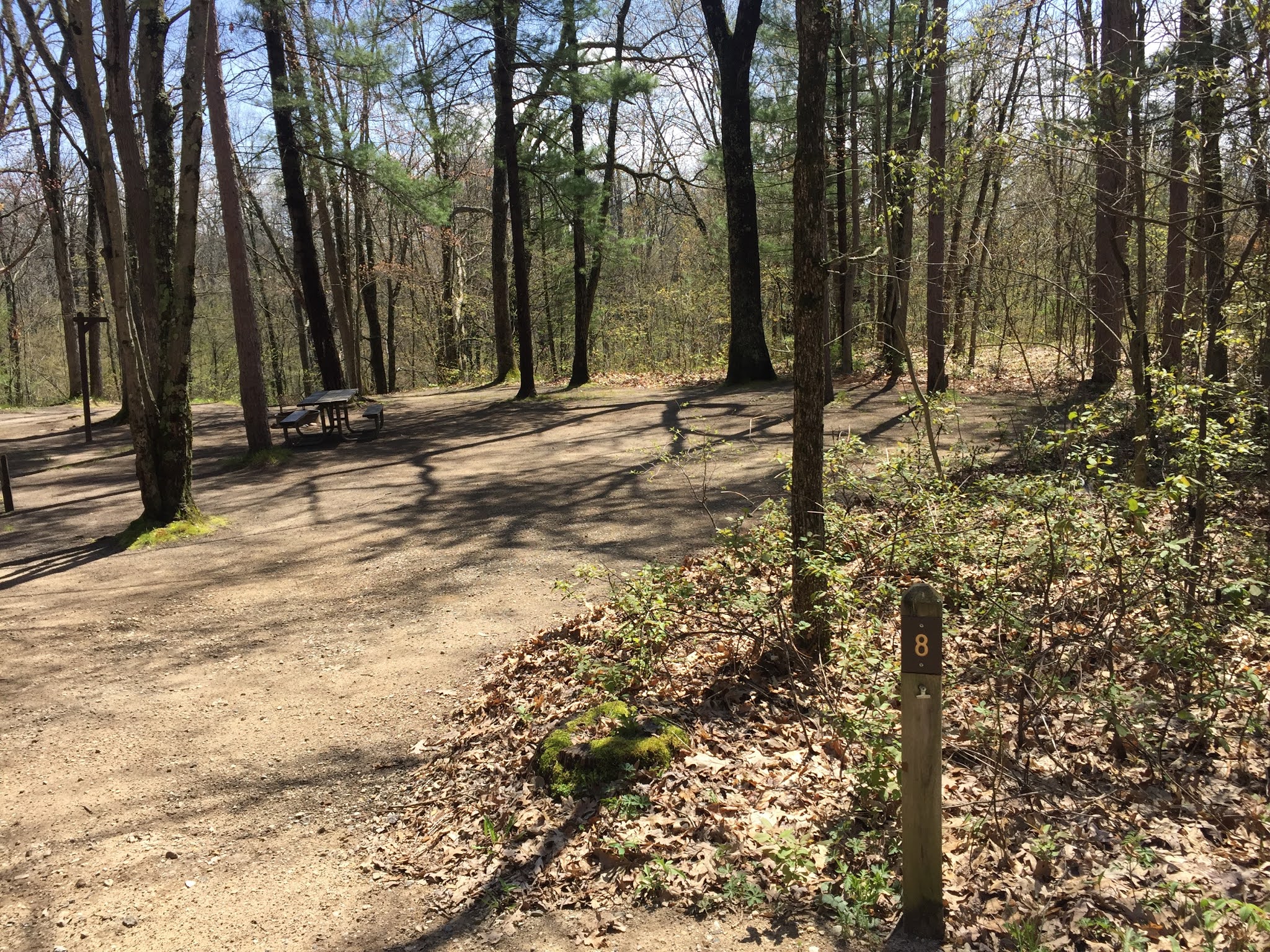 Travel Reviews & Information Hesperia, Michigan Pines Point