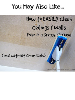 http://proverbsthirtyonewoman.blogspot.com/2014/09/how-to-easily-clean-ceilings-walls-even.html#.WIKHq33krcQ