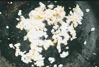 Frying chopped garlic ginger and onion for hot garlic sauce