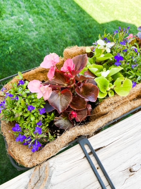 colorful deck basket