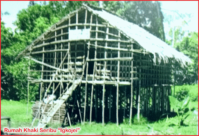 rumah kaki seribu suku arfak papua