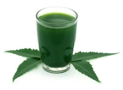 Drinking neem juice gives many benefits