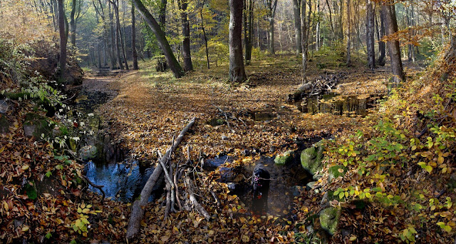 Körséta az őszi erdőben: Bükkös-patak, Lajos-forrás, Vaskapu-szurdok