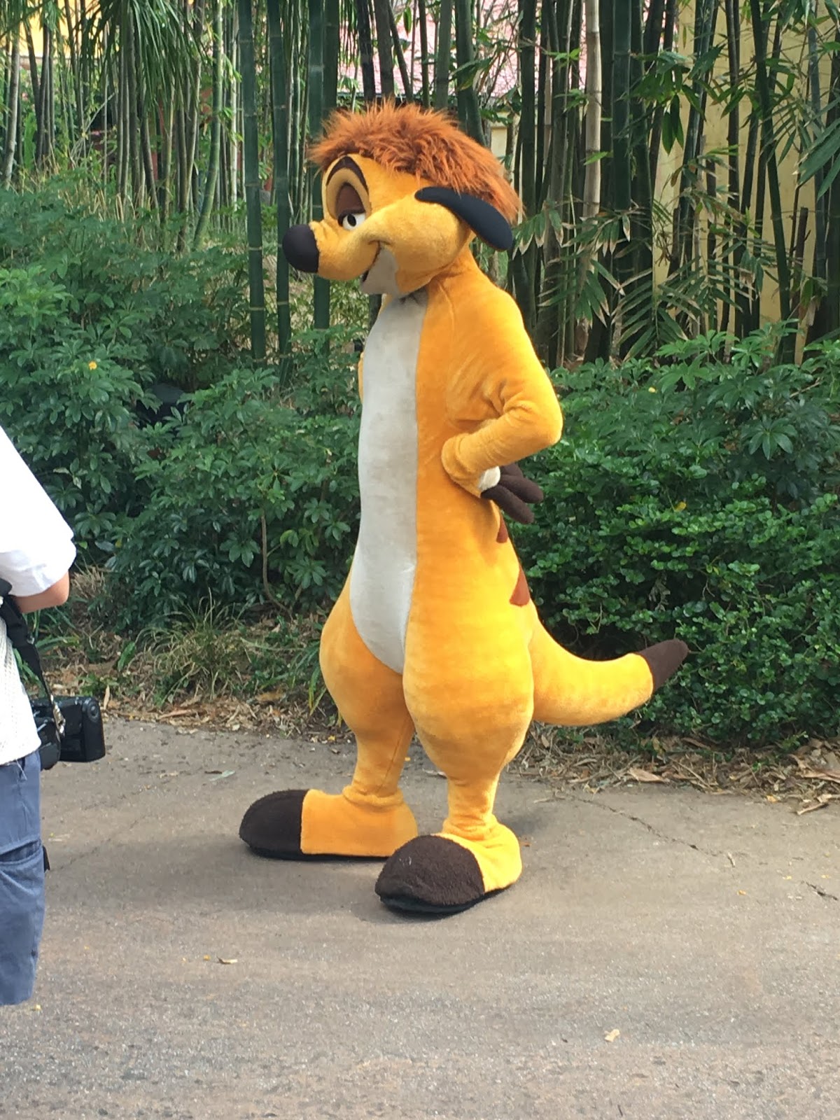 The Complete Guide To Understanding Timon In Swahili - l1qgjhc