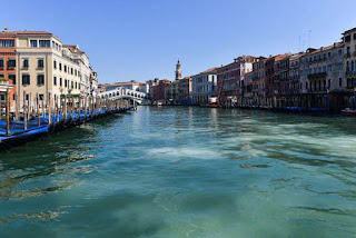 Tại Ý, ngay sau lệnh phong tỏa, thiên nga và cá heo đã "ngang nhiên" xuất hiện tại các con kênh ở Venice. Ngoài ra, nhiều đàn cá nhỏ cũng lần lượt "đổ bộ" đến đây. Còn tại Rome, ở một số đài phun nước, nhiều chú vịt thảnh thơi "thả mình" bơi lội trong dòng nước xanh mướt.