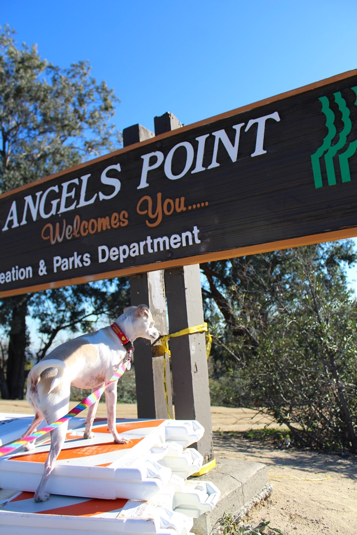 HAPPYHAZEL: Lost in Los Angeles