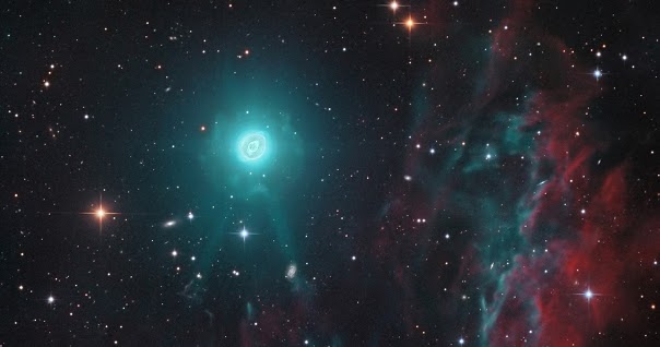 Floare De Colt Duzina De Cuvinte 216 Stelele Noastre