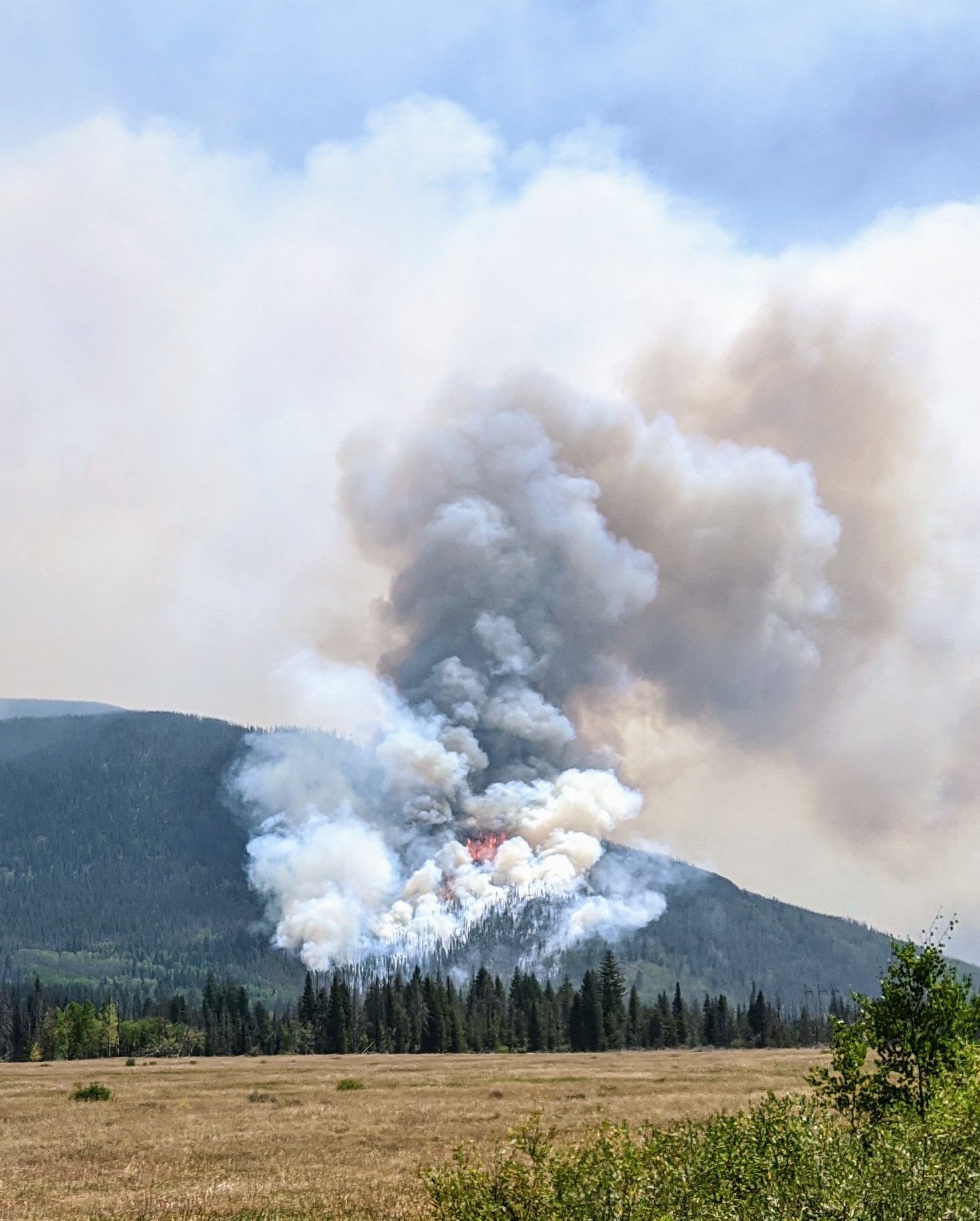 Pennsylvania Forest Fire Protection