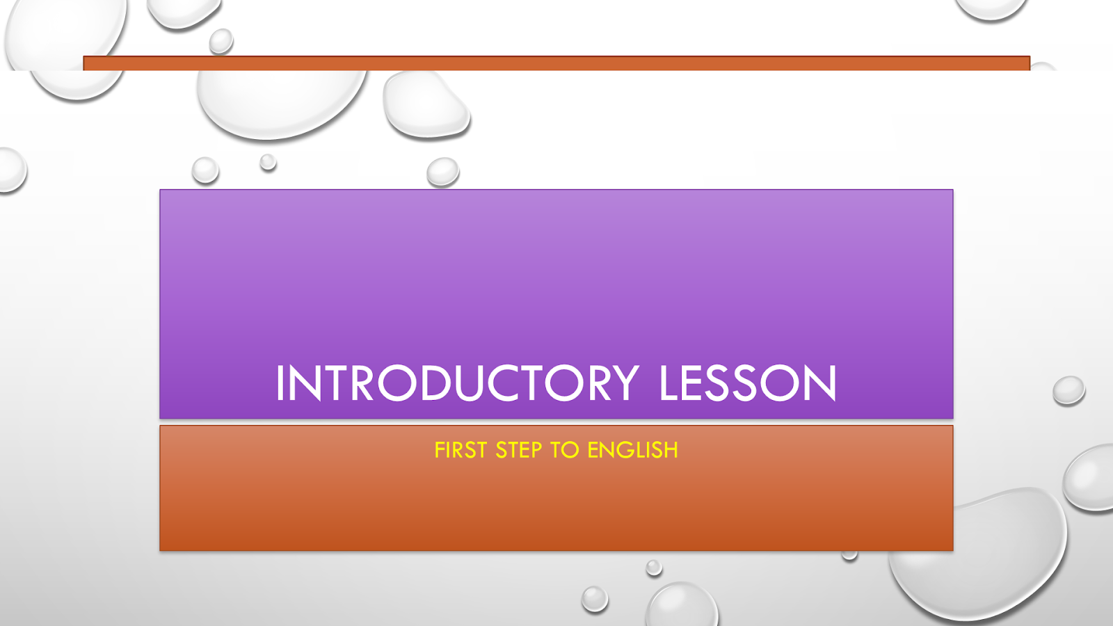 Stefani Private English Practice Lesson 1 Introductory Lesson ( audio)