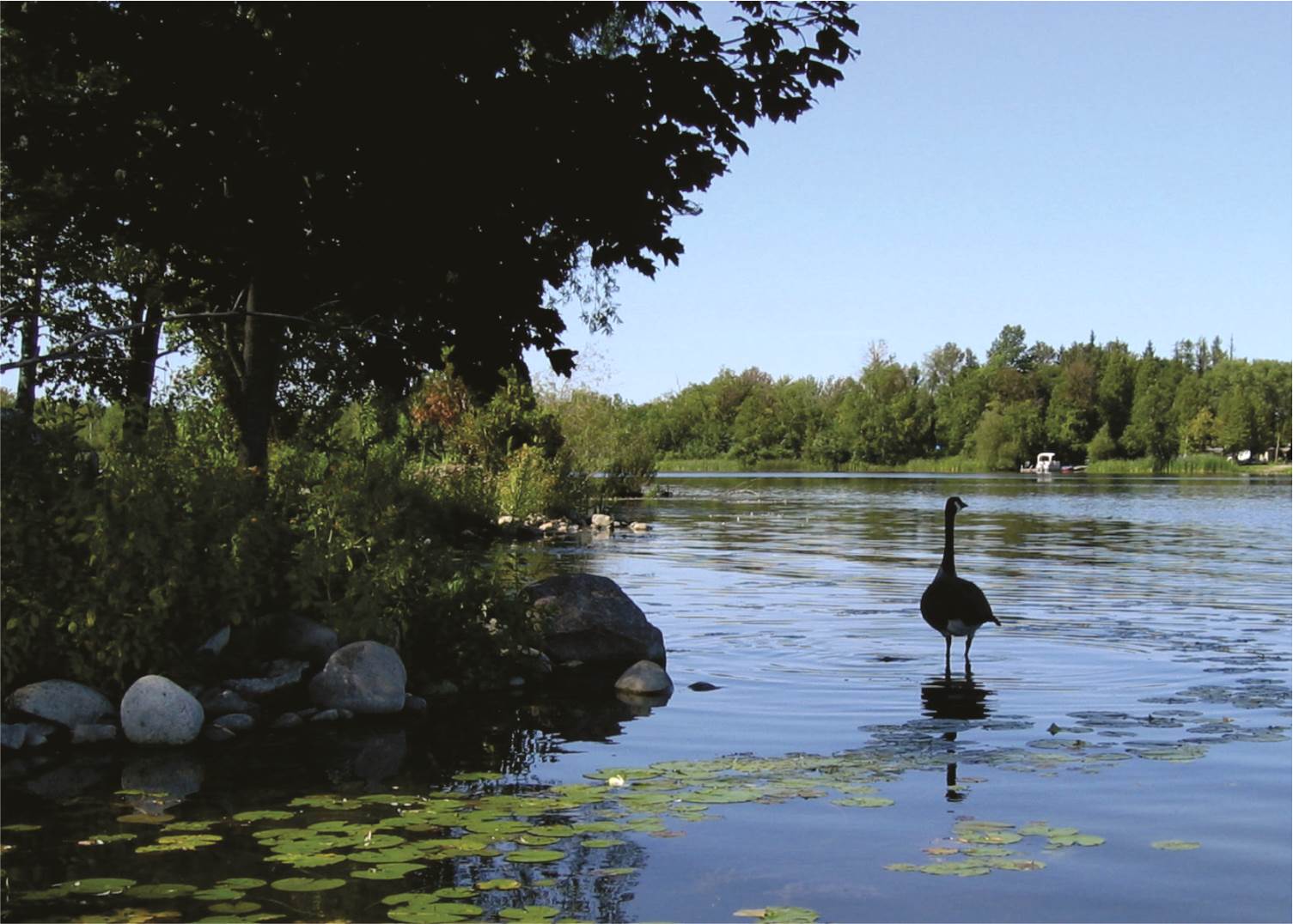 One Tank Trips Oh Canada, It’s Alive and the Puslinch Lake Home Tour