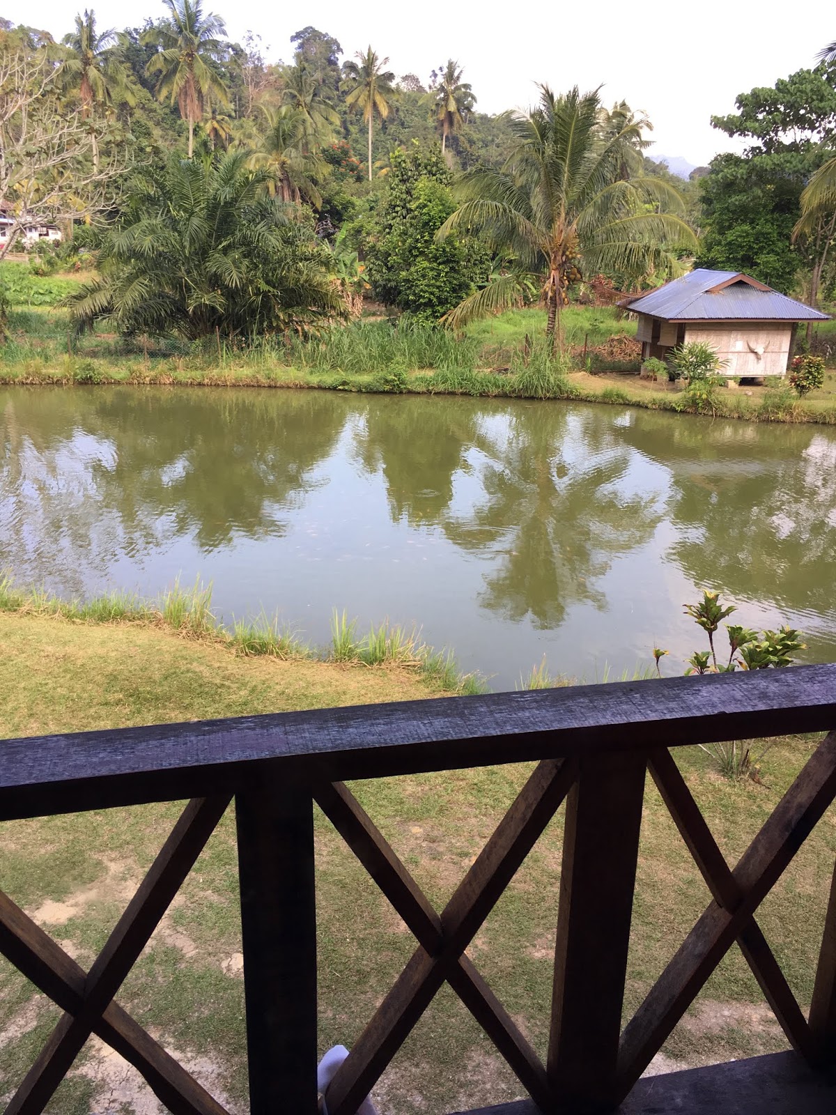 Di sini.. Inap Desa Chalet Janda Baik