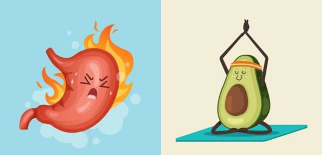Is Avocado Good or Bad for Acid Reflux Is Avocado Good or Bad for Acid Reflux