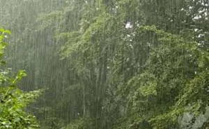 Rain, Kerala, Monsoon