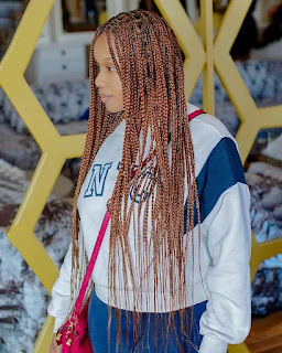 Knotless Braids Hairstyles 2022 Knotless Braids Hairstyles 2022