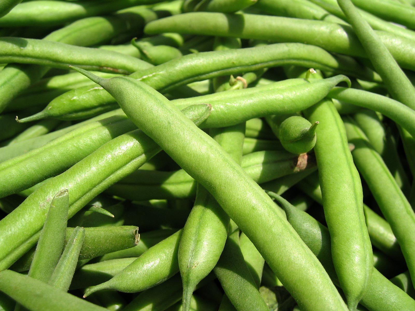The Elizavegan Page: Bihari Green Beans and Spinach Masala