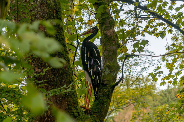 Wildwiesenweg – Eitorf | Wandern in der Naturregion-Sieg | Erlebniswege Sieg 16