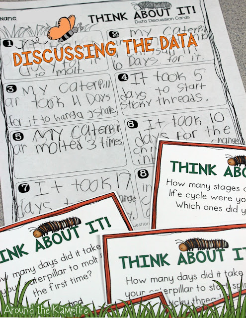 Butterfly math~Discussing the data before graphing the life cycle.