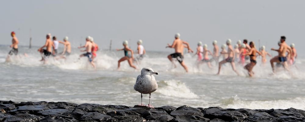K A Zwei Konzertverruckte September 2016