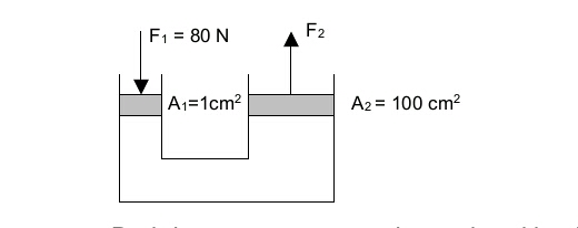 Bimbel Athifiyah Club Probolinggo Pin 5288DCF4, HP