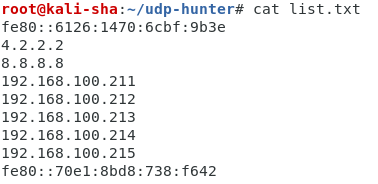 UDP Hunter - An Open Source Network Assessment Tool