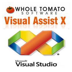 visual assist 10.9 serial