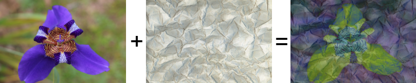 Flor + Papel = Flor em Papel Flor + Textura Papel = Flor em Papel