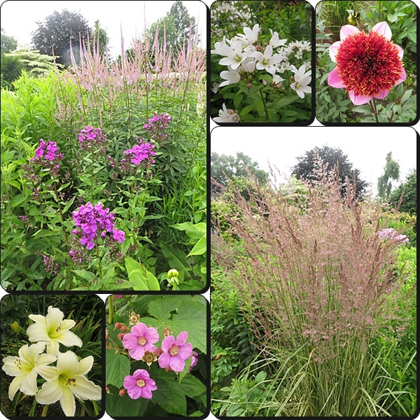 Neues Vom Lindenhof Garten Verheggen Nl