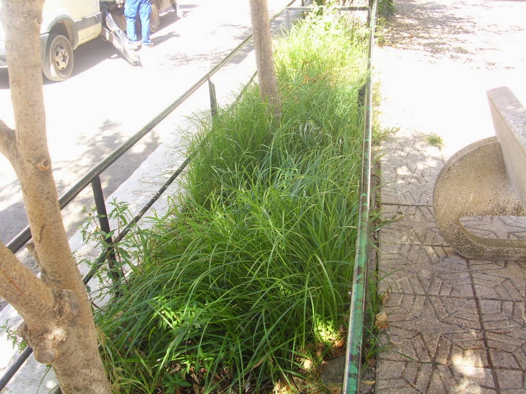 Campo Arcís: septiembre 2014