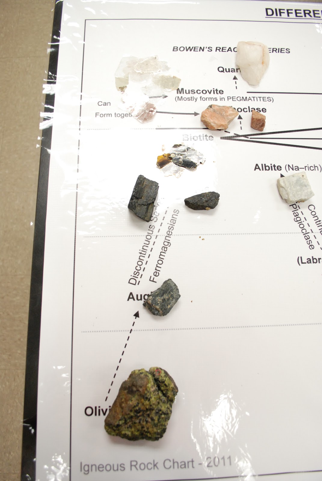 Historical Geology 1404 Fall 2012 Bowens Reaction Series The whole chart