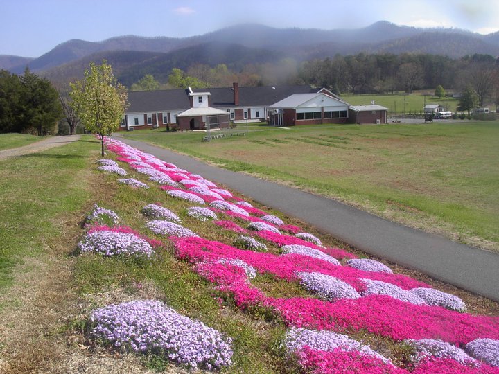 Catch of the Day Spring Arrives at Pilot Mountain School