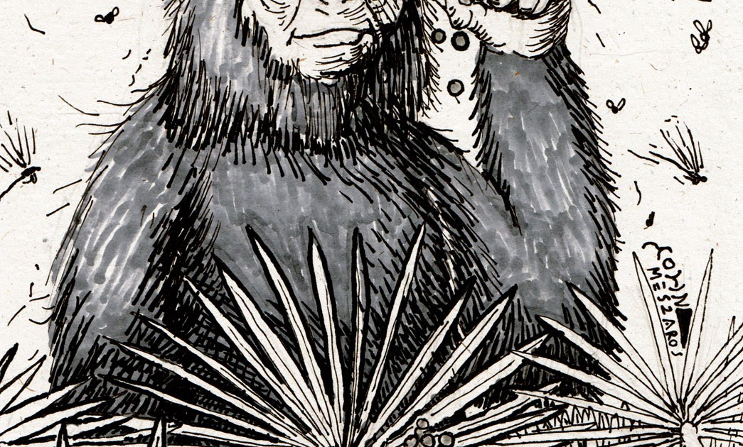 Cryptids State-by-State: Skunk Ape- Florida