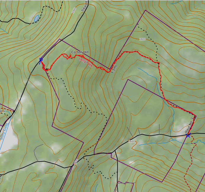 Walking Man 24 7 Cotton HillLong Path(Dutch Settlement State Forest