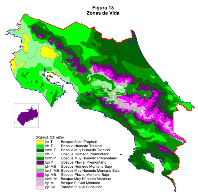 ECOSISTEMAS DE COSTA RICA BOSQUE TROPICAL PLUVIAL MONTANO