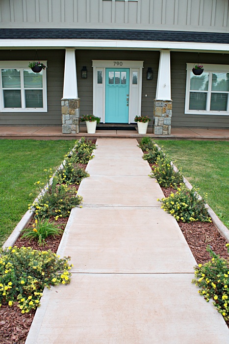 10 Low Maintenance Plants For Your Garden