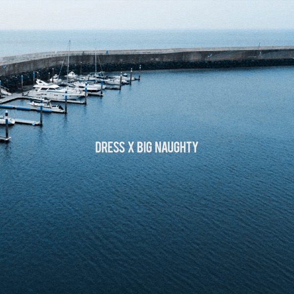 BIG Naughty & dress – Bourgeois (Feat. Zior Park) – Single