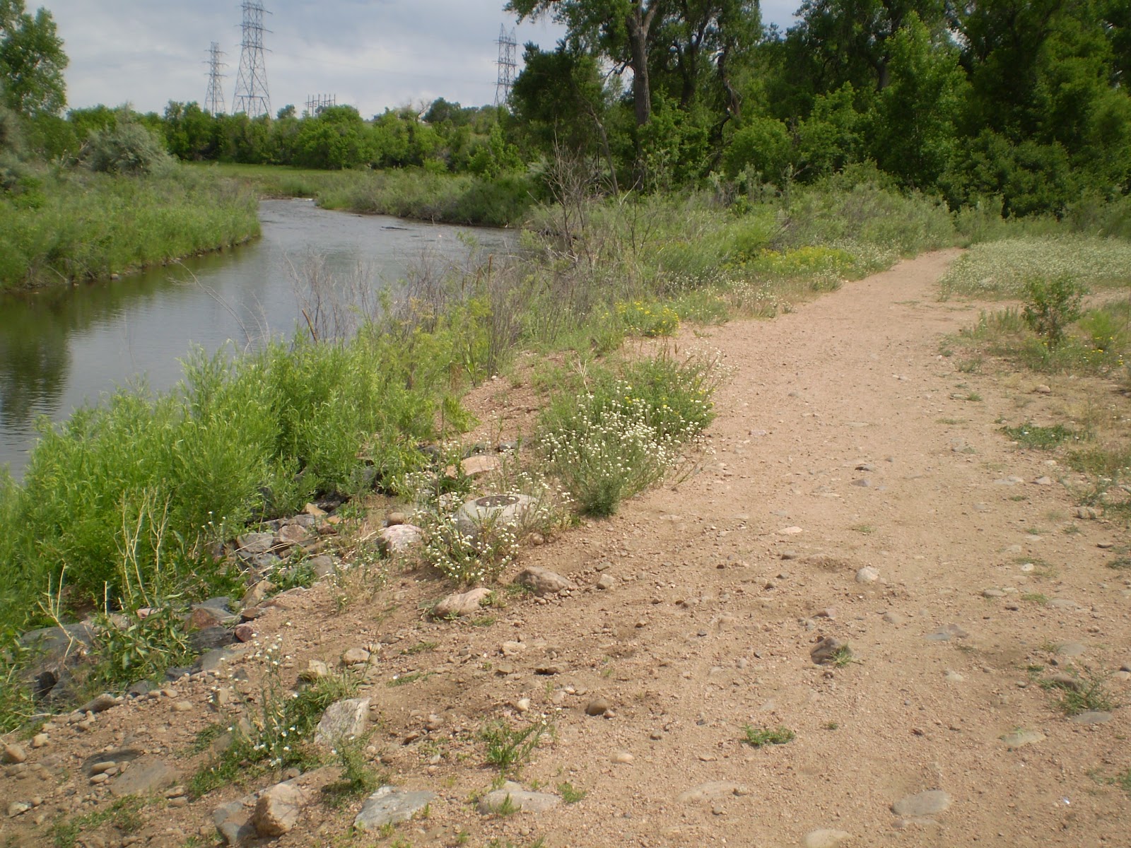 Denver's Bike Paths Coming Changes at Chatfield June 2012