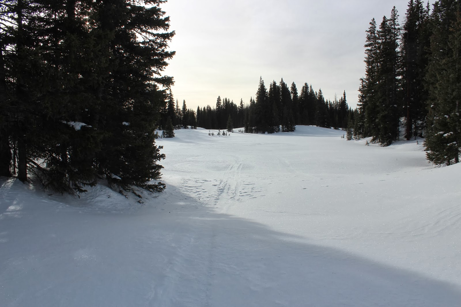 Grand Mesa Nordic Trails (31)
