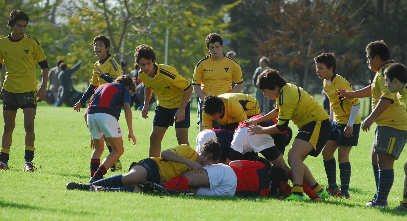 La Plata Rugby Club 1998 Jugamos con san Luis y Olivos