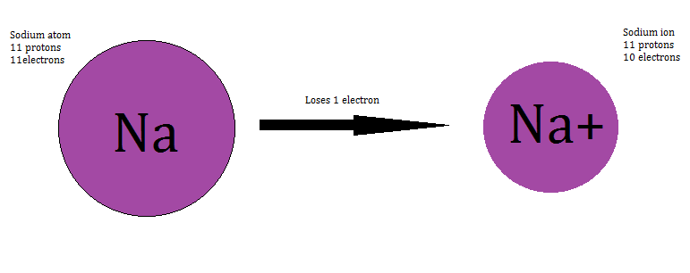negative ions have protons than electrons negative ions have protons than electrons