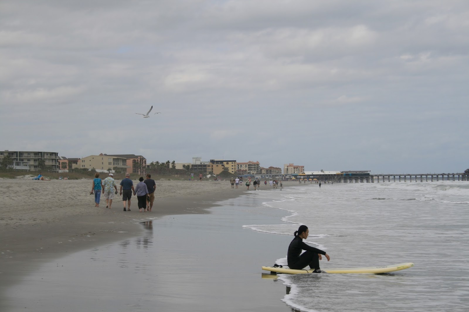 Amy's Creative Pursuits Cocoa Beach, Florida