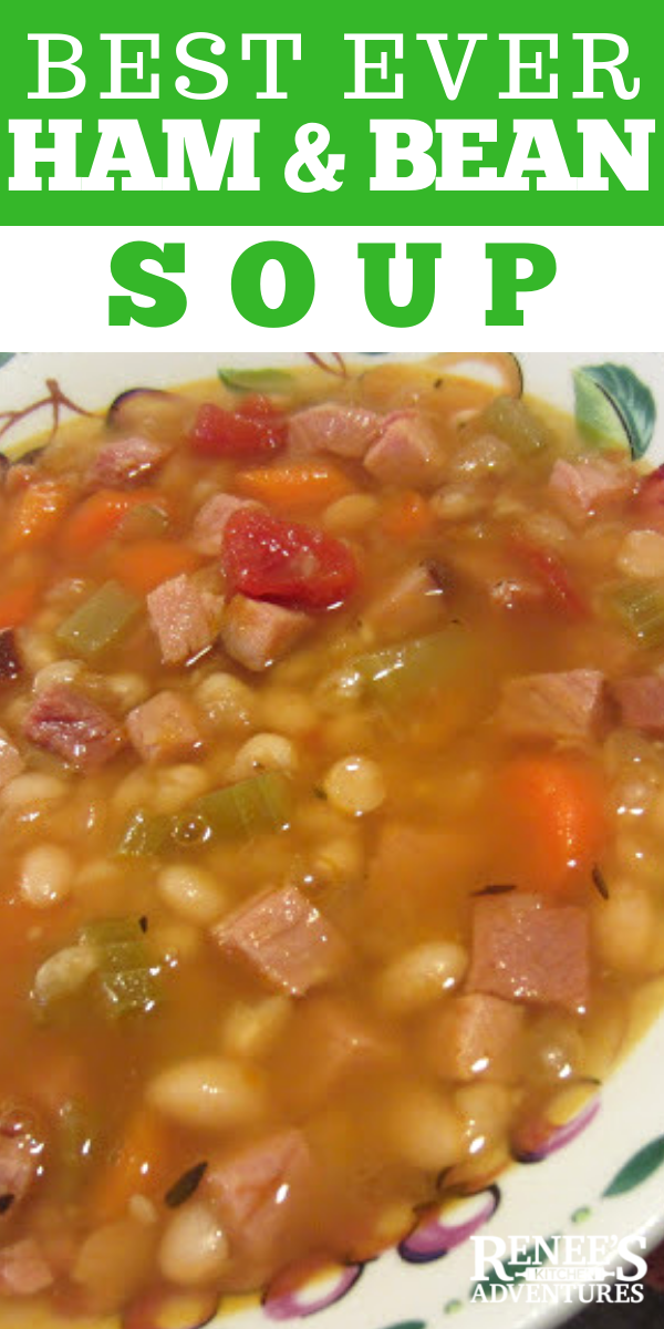 Classic Ham and Bean Soup Renee's Kitchen Adventures