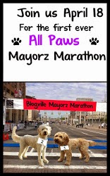 Mayorz Marathon