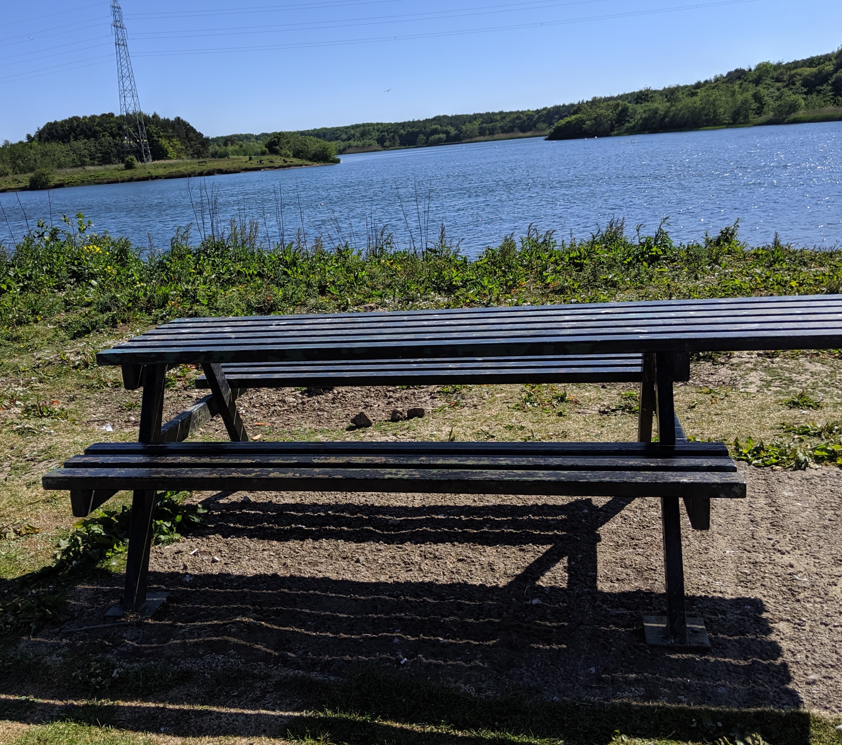 Queen Elizabeth II Country Park Walk North East Family Fun