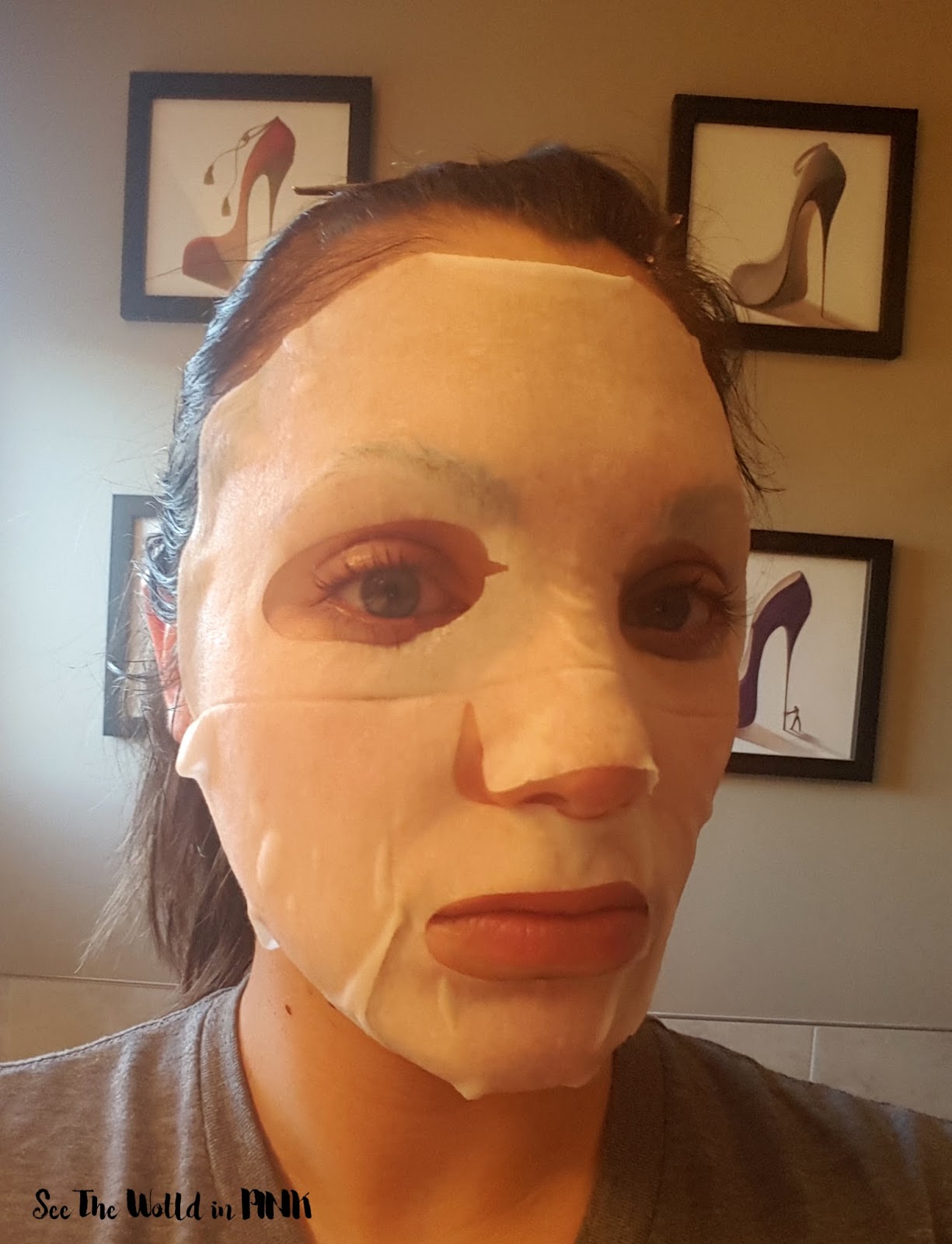 Pur~lisse Sheet Mask Product Review  