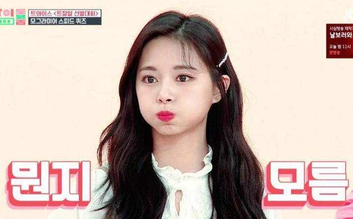 뭔지 모르는 쯔위 - 꾸르