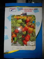 tomat mengandung vitamin, benih kinanti 720, royal seed, budidaya tomat, jual benih tomat, toko pertanian, toko online, lmga agro
